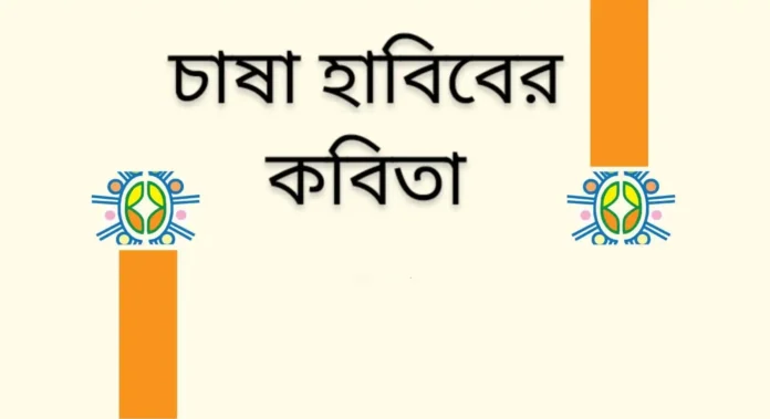 চাষা হাবিব